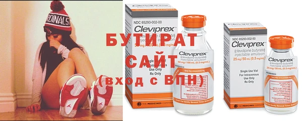 шишки Нея