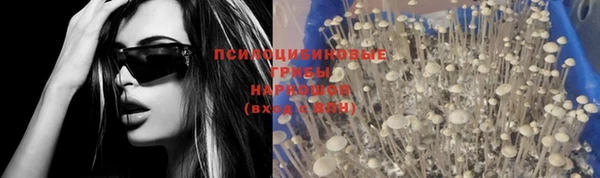ПСИЛОЦИБИНОВЫЕ ГРИБЫ Нефтегорск