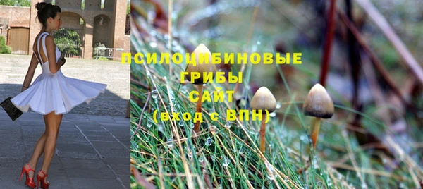 шишки Нея