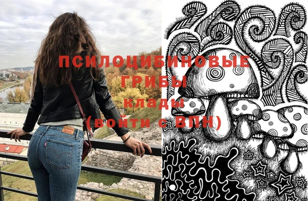 шишки Нея