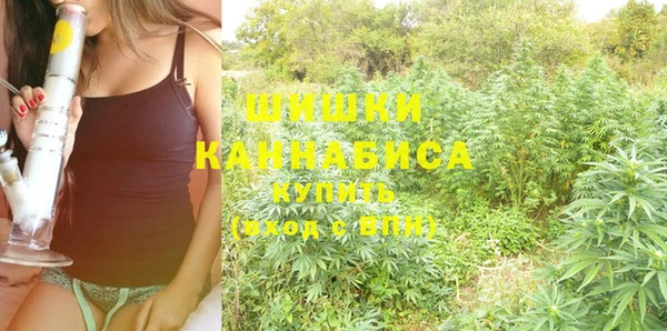 крисы Нефтекумск