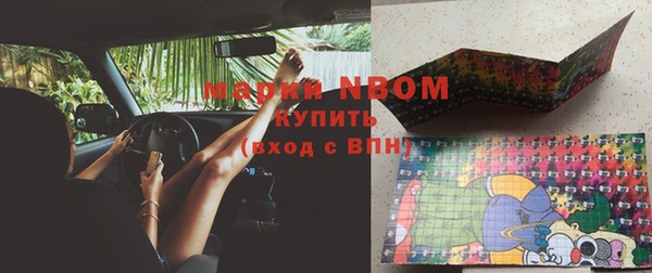 шишки Нея