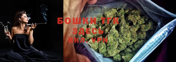 шишки Нея