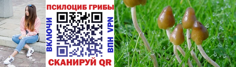 Псилоцибиновые грибы ЛСД  где купить   Павловск 